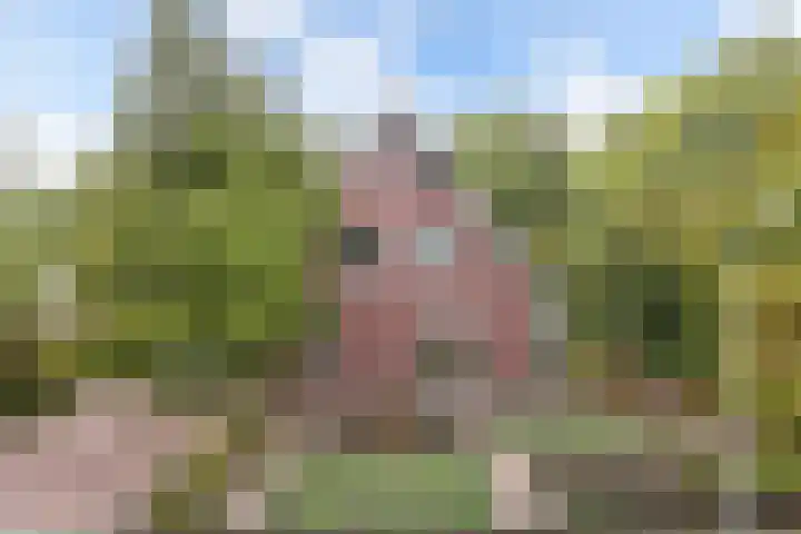 Melisse 35 Rutten thumbnail 11
