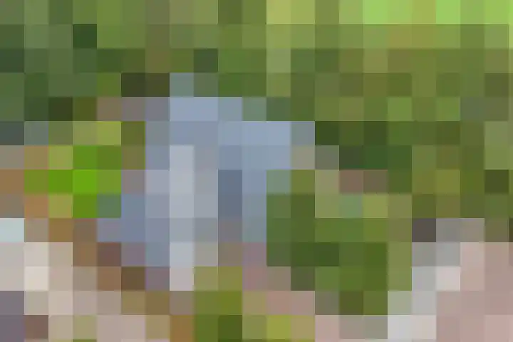 Melisse 35 Rutten thumbnail 13