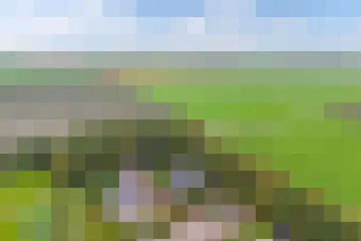 Melisse 35 Rutten thumbnail 14