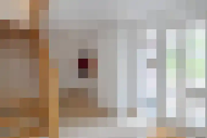 Melisse 35 Rutten thumbnail 15