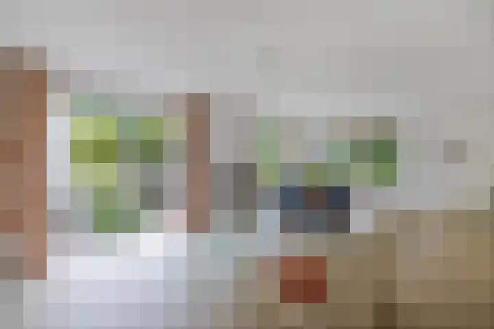 Melisse 35 Rutten thumbnail 21