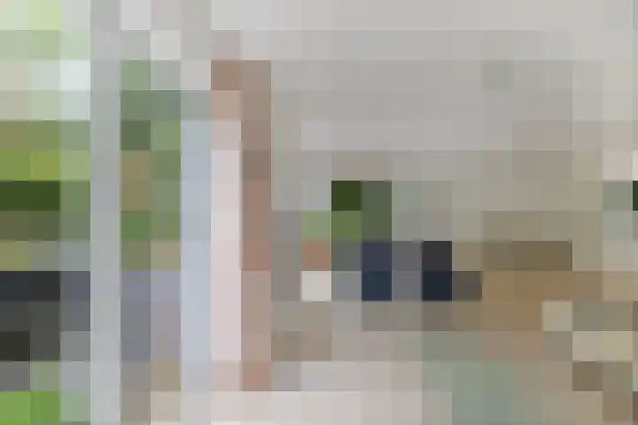 Melisse 35 Rutten thumbnail 22