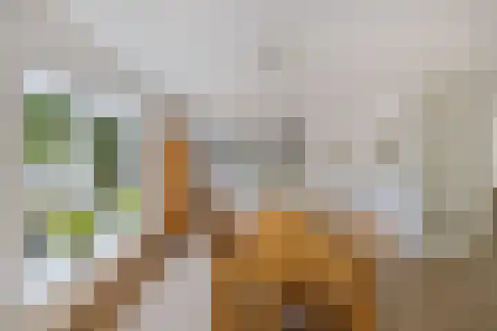 Melisse 35 Rutten thumbnail 24