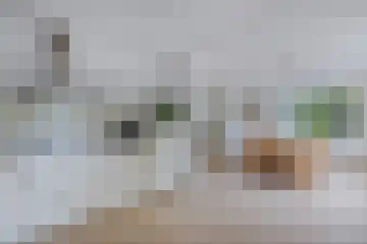 Melisse 35 Rutten thumbnail 28