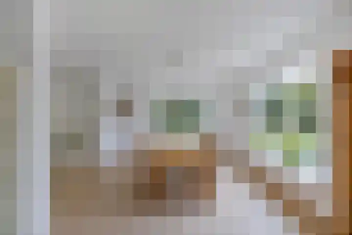 Melisse 35 Rutten thumbnail 29
