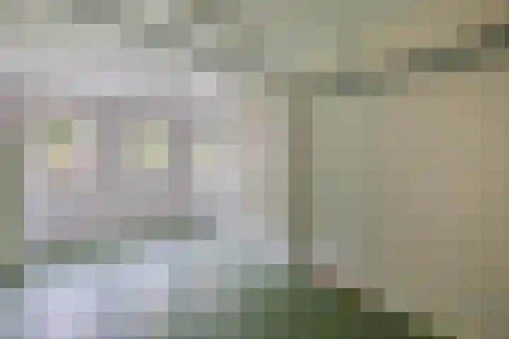 Melisse 35 Rutten thumbnail 33
