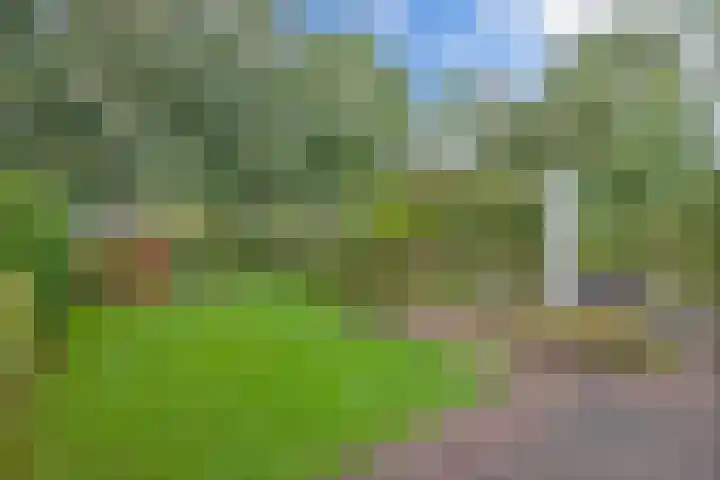 Melisse 35 Rutten thumbnail 35