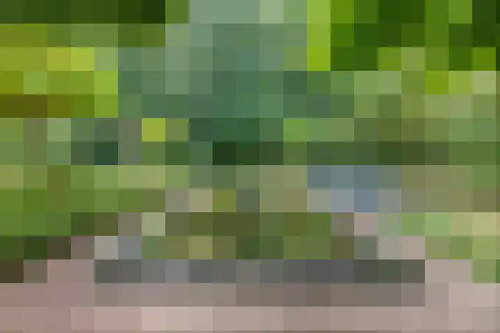Melisse 35 Rutten thumbnail 39