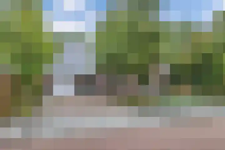 Melisse 35 Rutten thumbnail 4