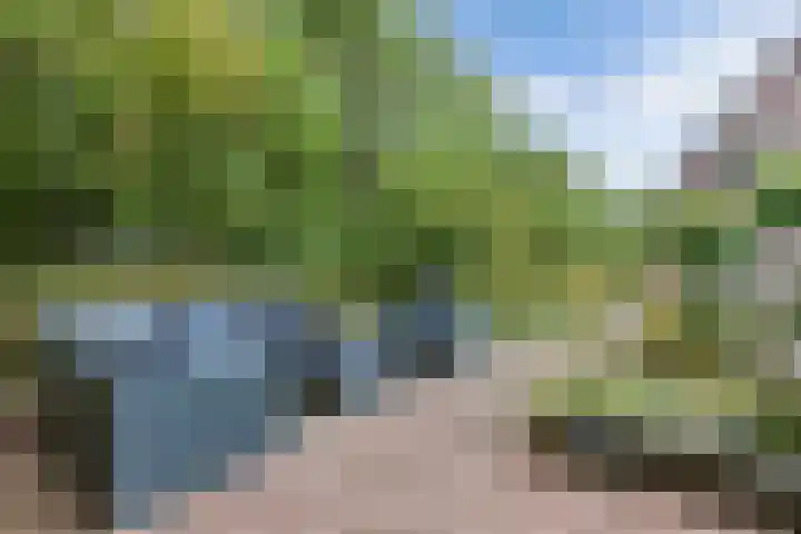 Melisse 35 Rutten thumbnail 40