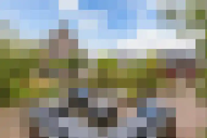 Melisse 35 Rutten thumbnail 41
