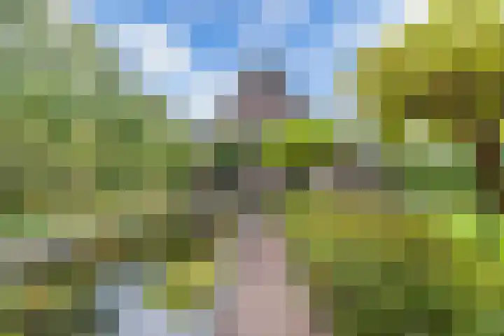Melisse 35 Rutten thumbnail 43