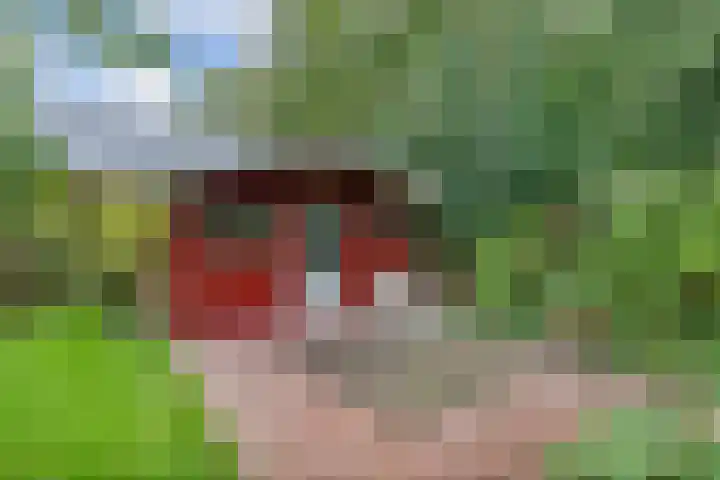 Melisse 35 Rutten thumbnail 44