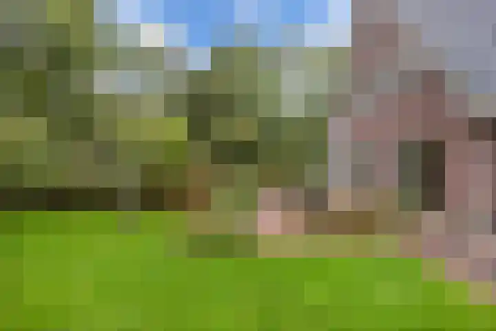 Melisse 35 Rutten thumbnail 46