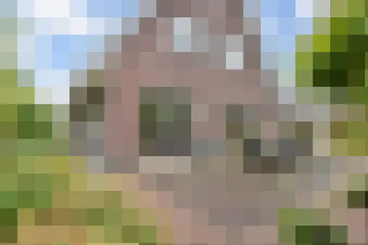 Melisse 35 Rutten thumbnail 47