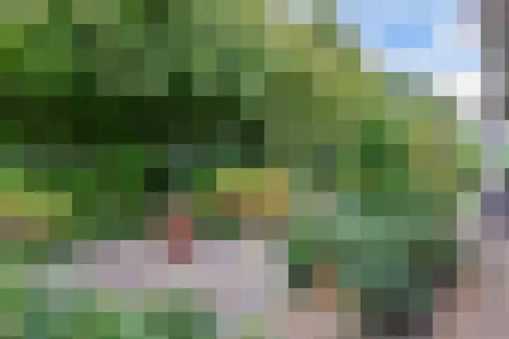 Melisse 35 Rutten thumbnail 48