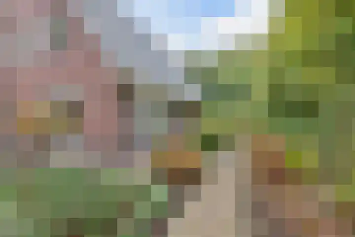 Melisse 35 Rutten thumbnail 49
