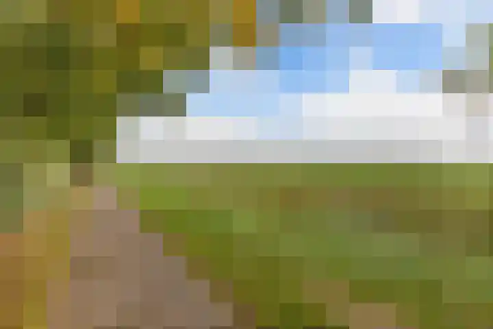 Melisse 35 Rutten thumbnail 5