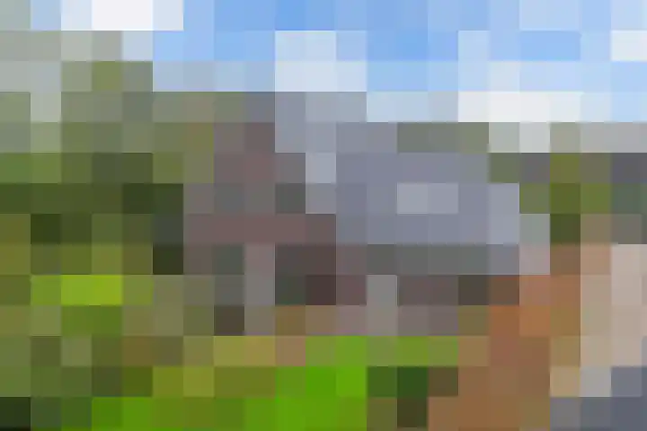 Melisse 35 Rutten thumbnail 50