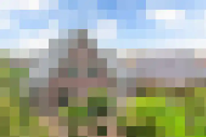 Melisse 35 Rutten thumbnail 51