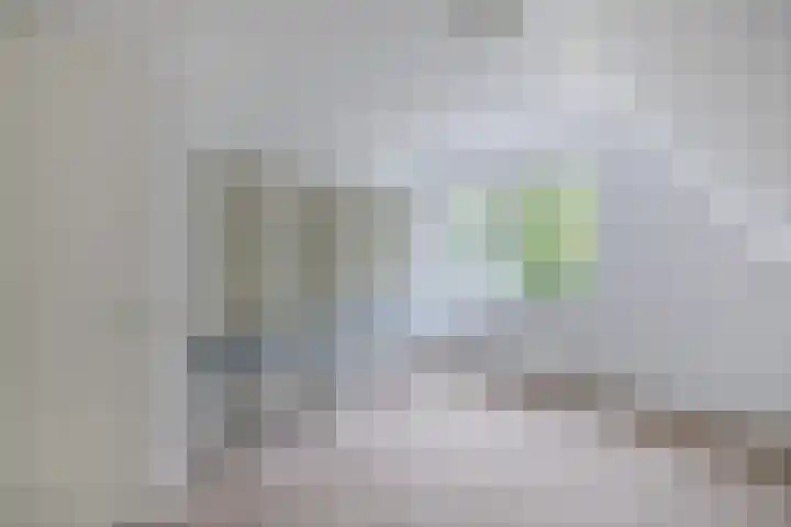 Melisse 35 Rutten thumbnail 56