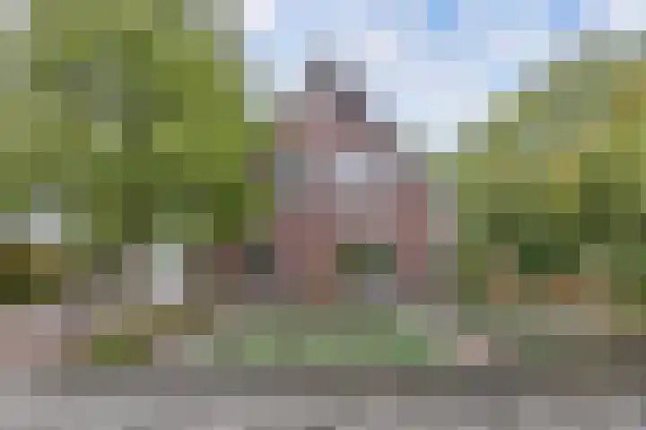 Melisse 35 Rutten thumbnail 6