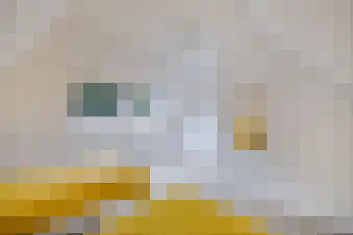 Melisse 35 Rutten thumbnail 61