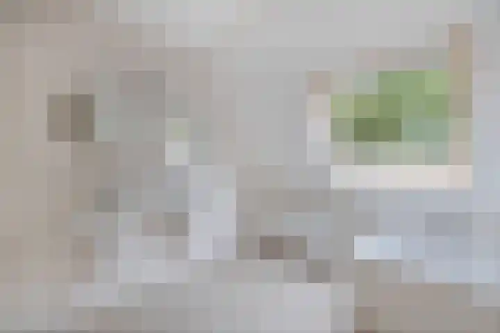 Melisse 35 Rutten thumbnail 63