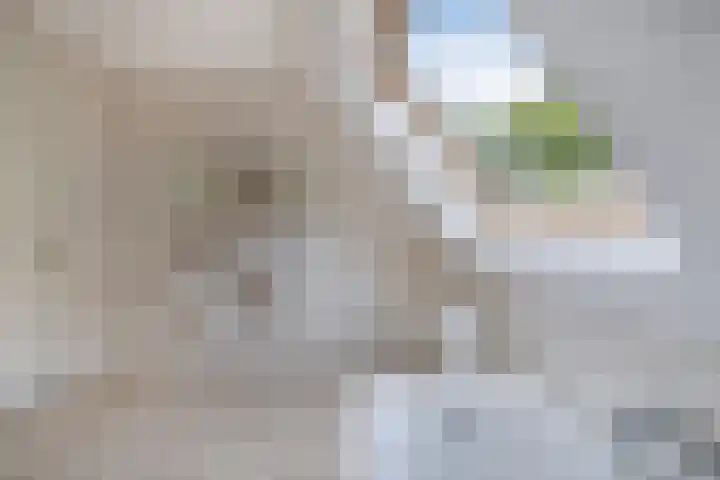 Melisse 35 Rutten thumbnail 64