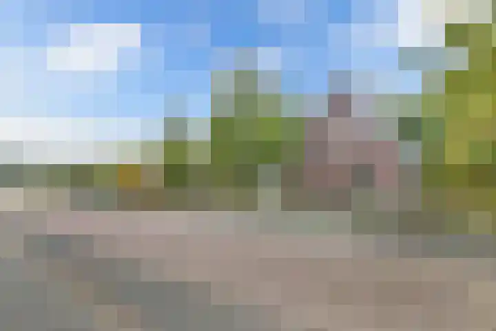 Melisse 35 Rutten thumbnail 7