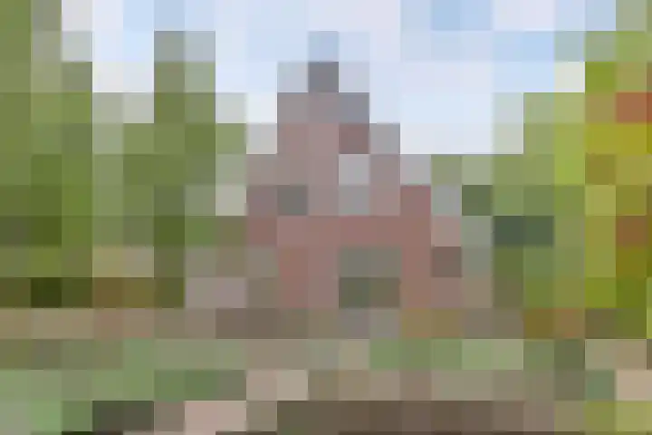 Melisse 35 Rutten thumbnail 8