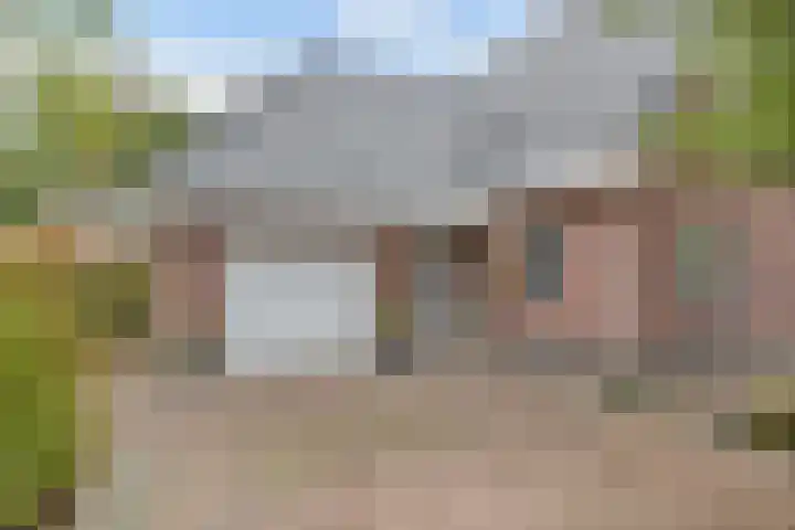 Melisse 35 Rutten thumbnail 9
