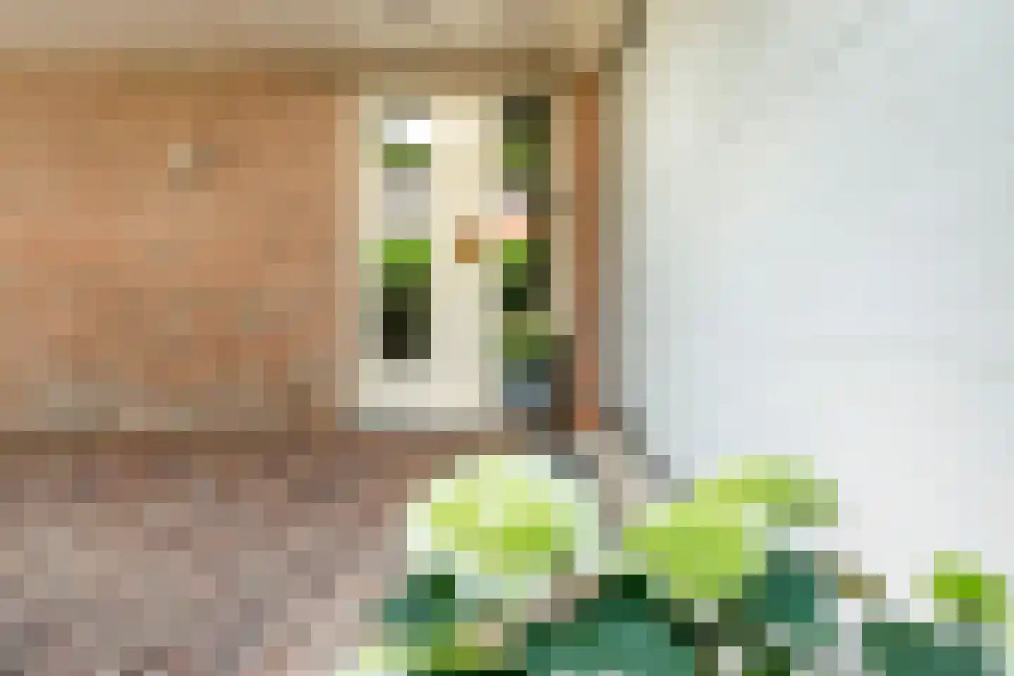 Melisse 5 Raalte thumbnail 11