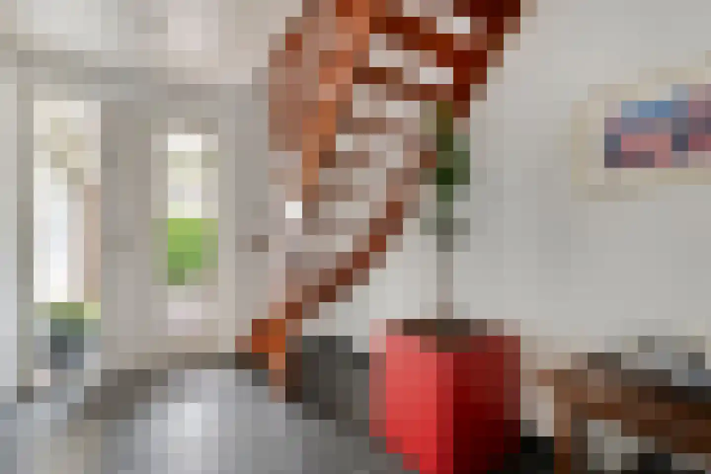 Melisse 5 Raalte thumbnail 12