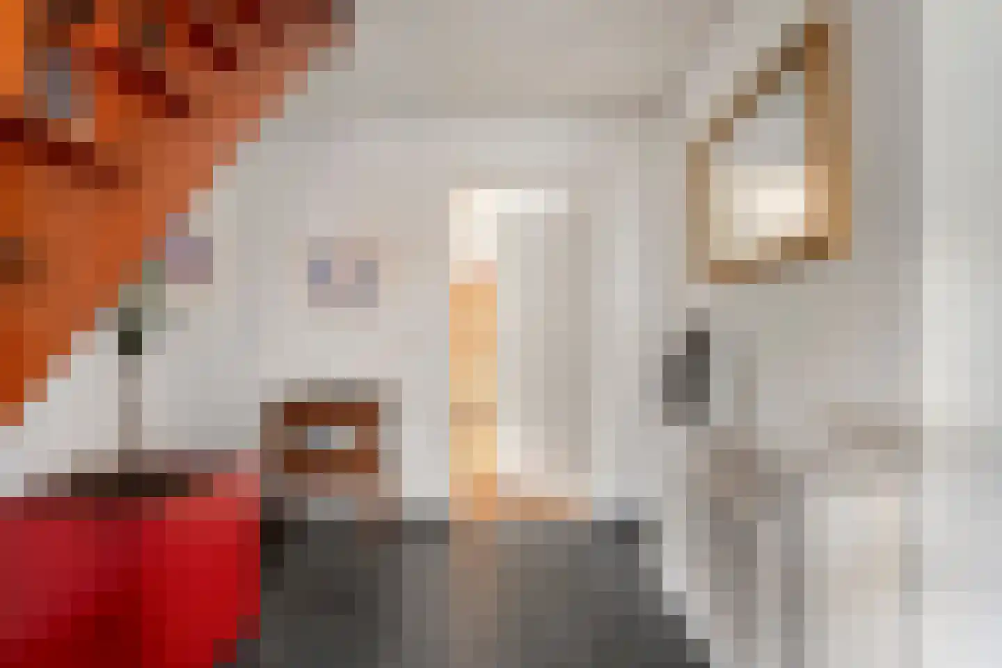 Melisse 5 Raalte thumbnail 13