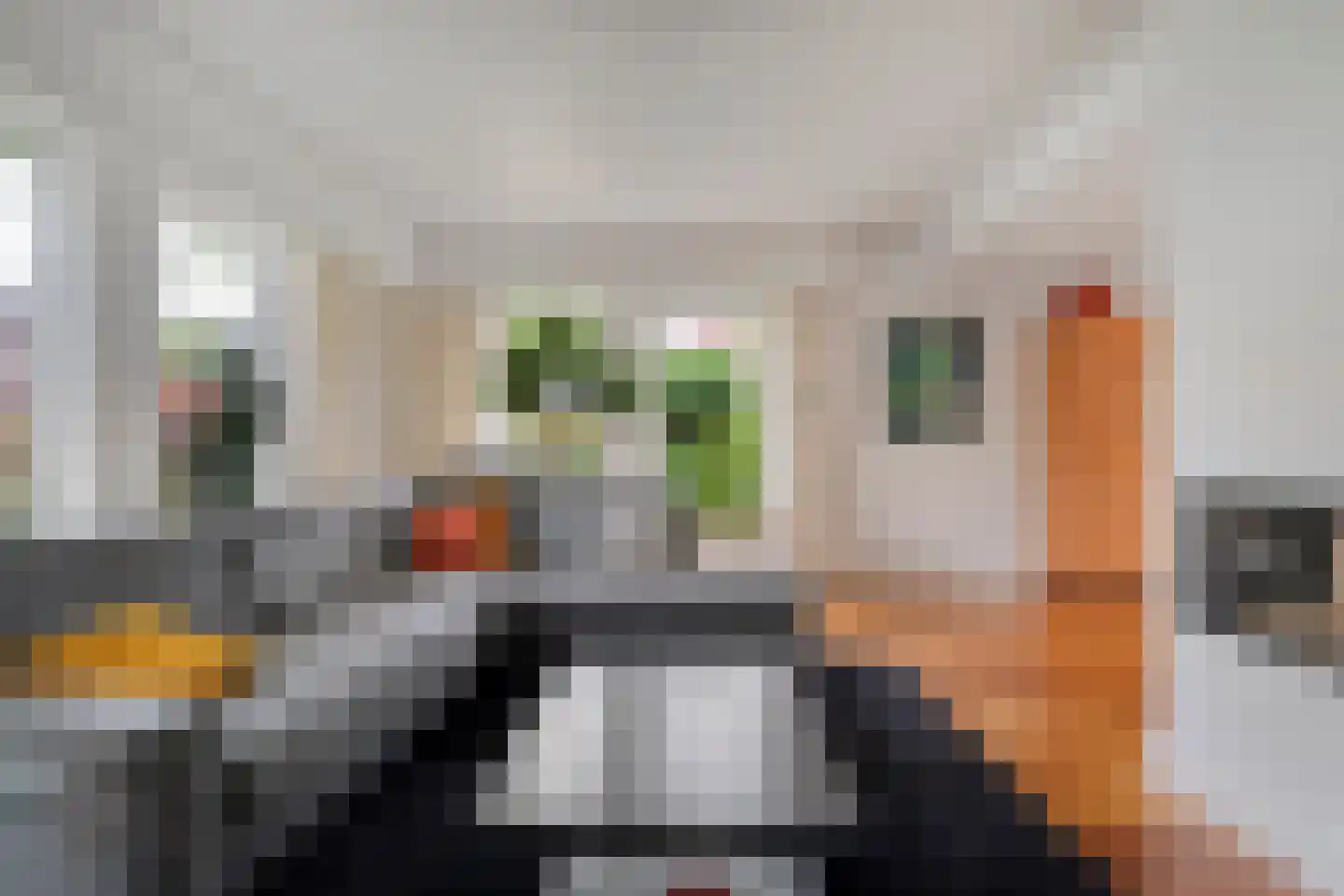 Melisse 5 Raalte thumbnail 16