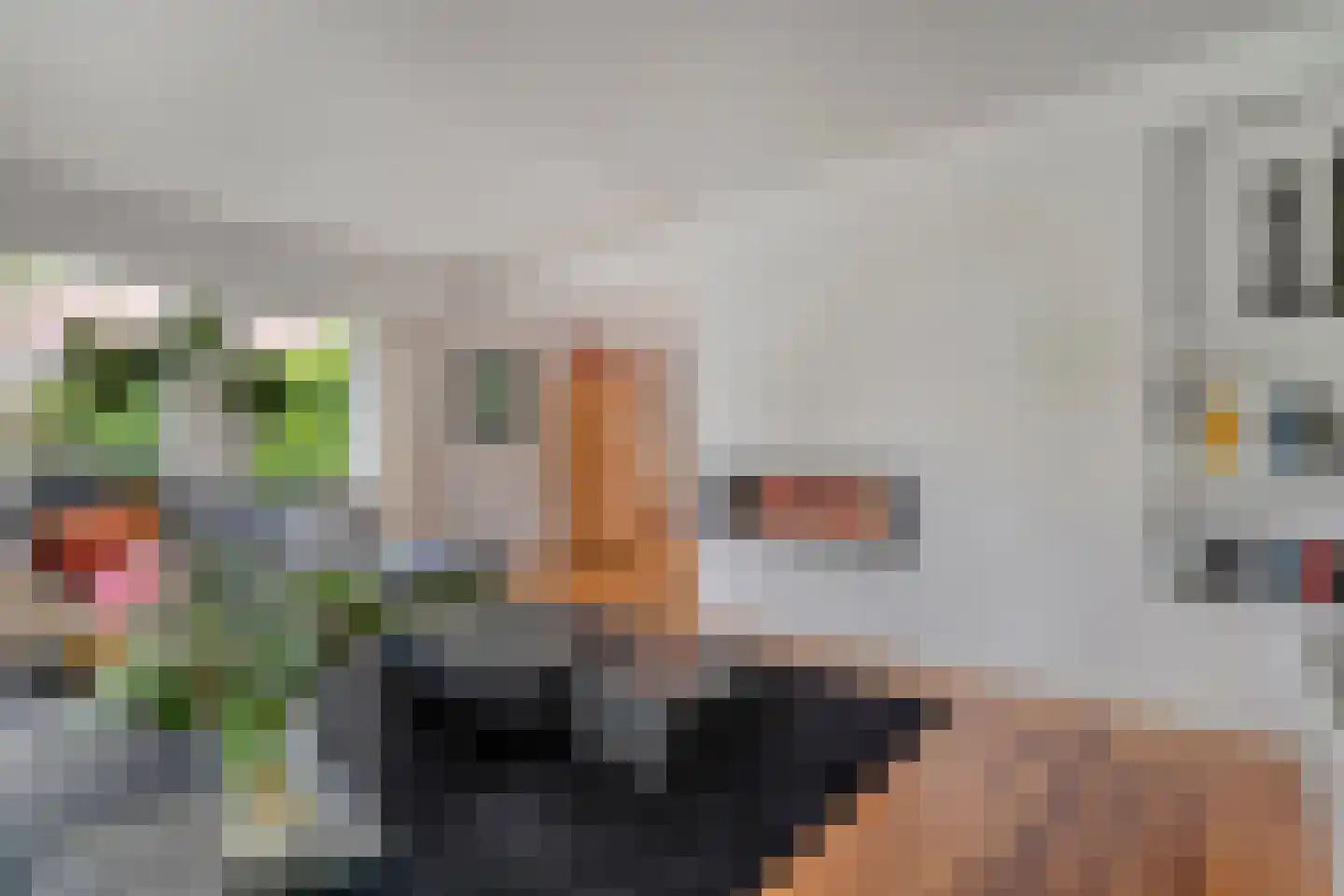 Melisse 5 Raalte thumbnail 17