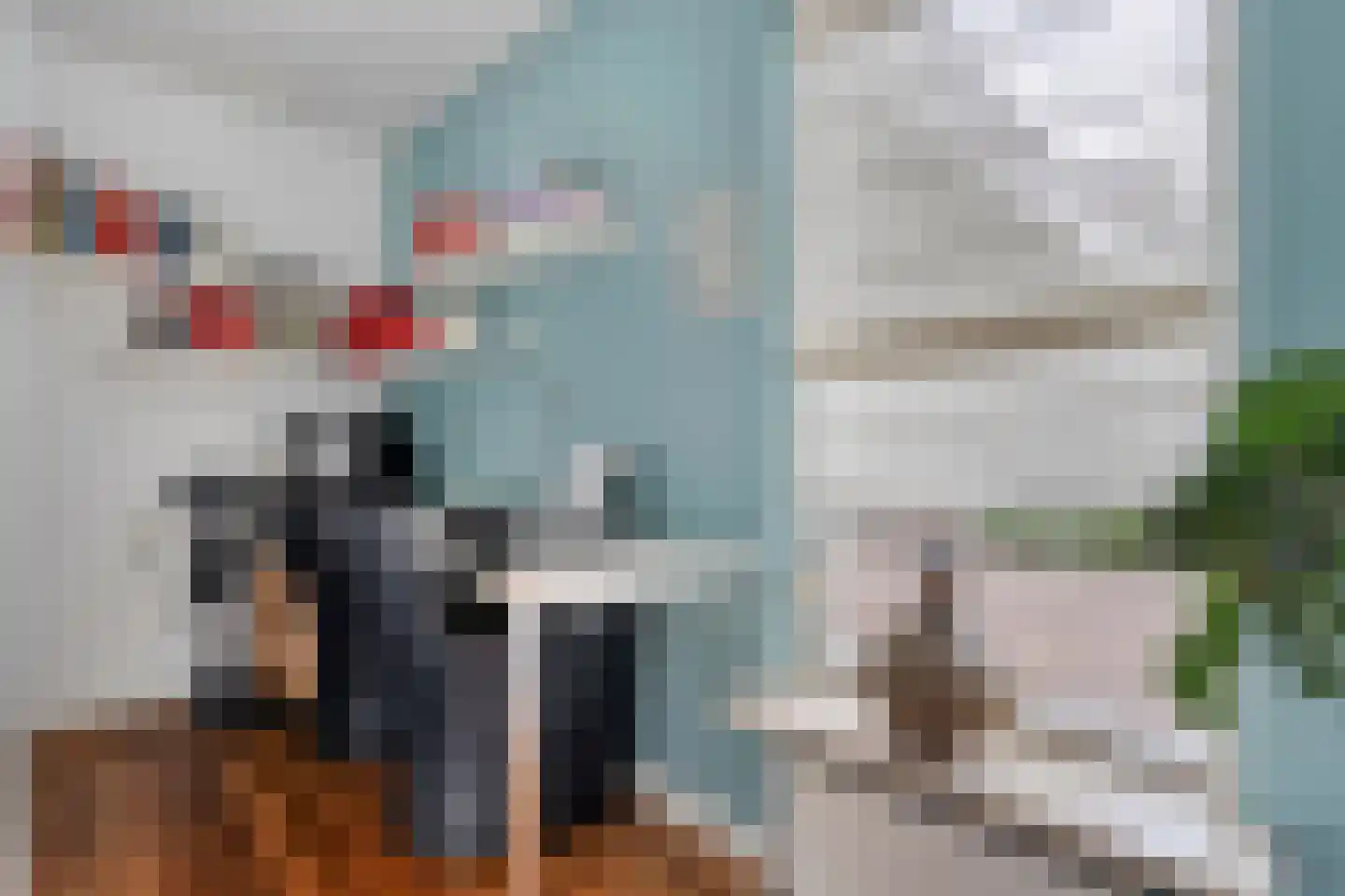 Melisse 5 Raalte thumbnail 18
