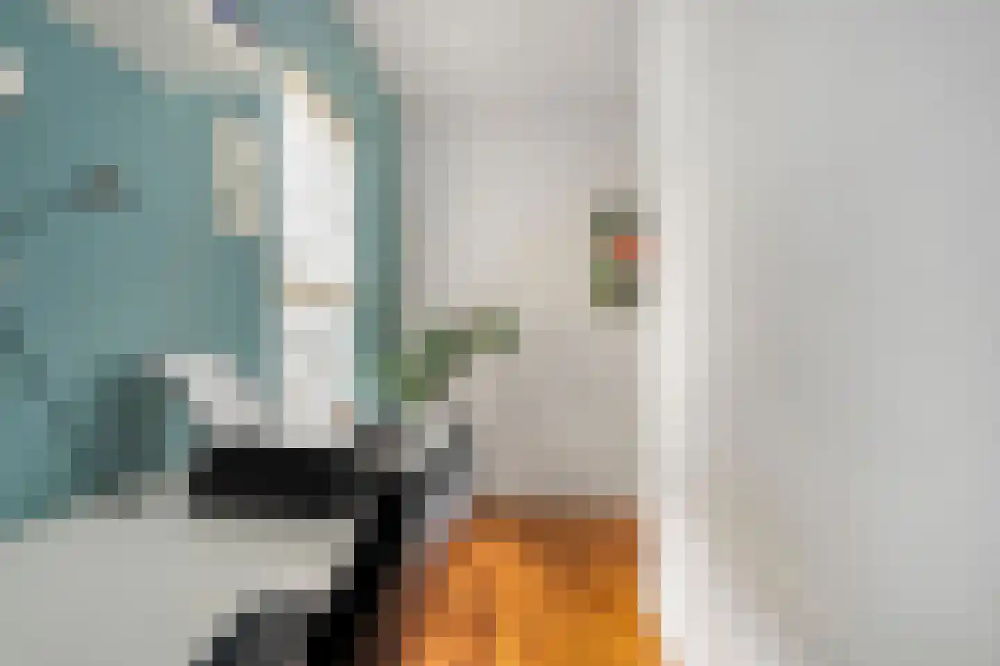 Melisse 5 Raalte thumbnail 19