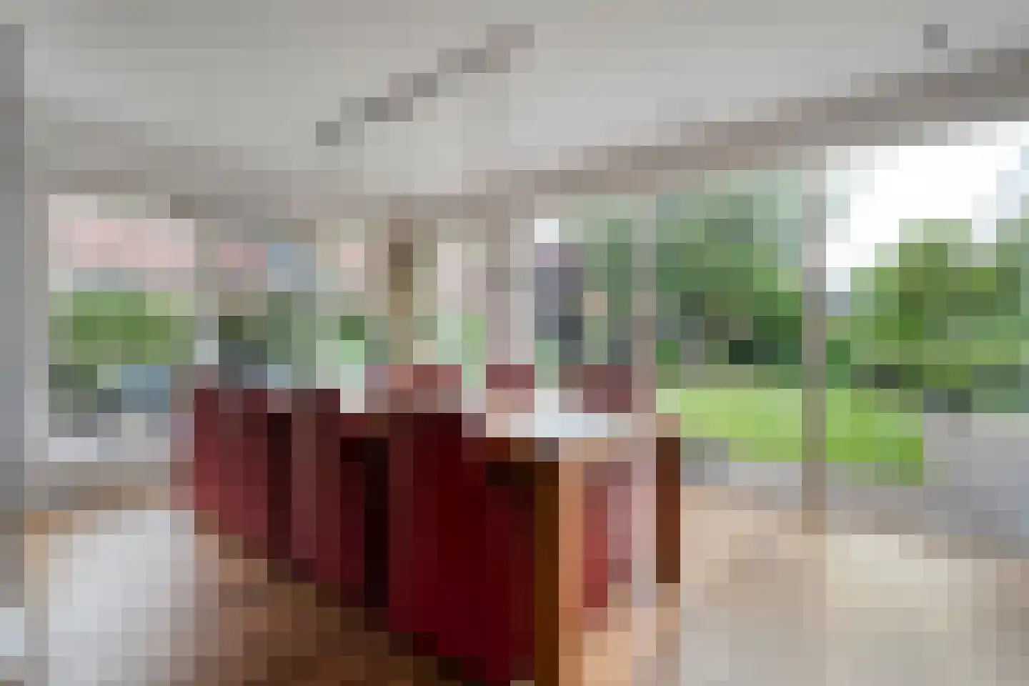 Melisse 5 Raalte thumbnail 22