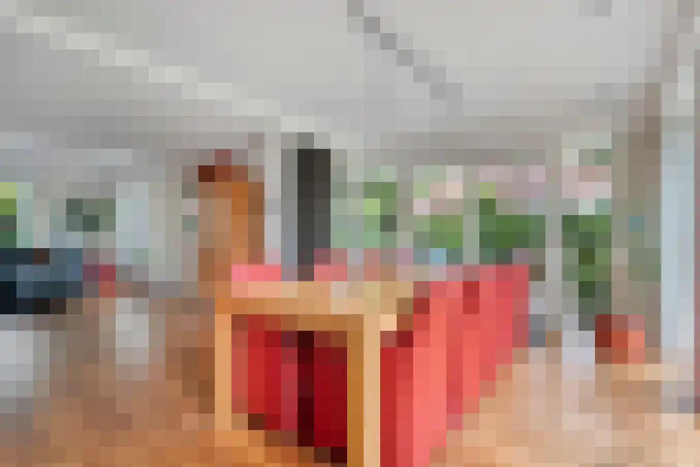 Melisse 5 Raalte thumbnail 23