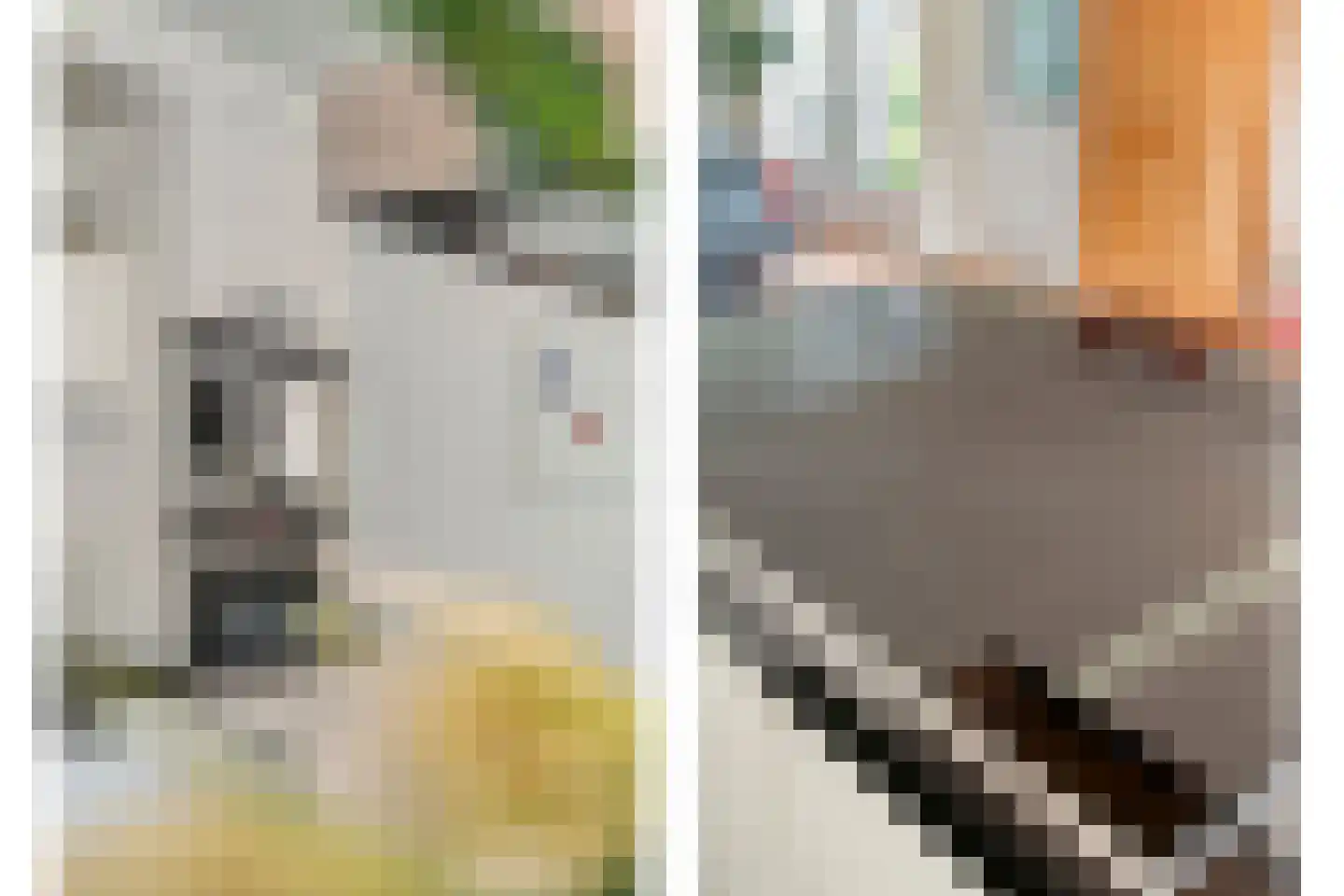 Melisse 5 Raalte thumbnail 26
