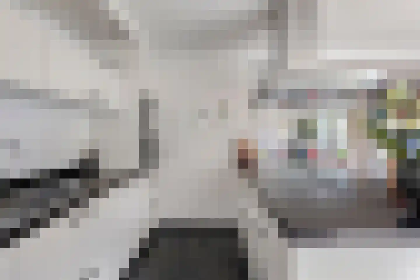 Melisse 5 Raalte thumbnail 27