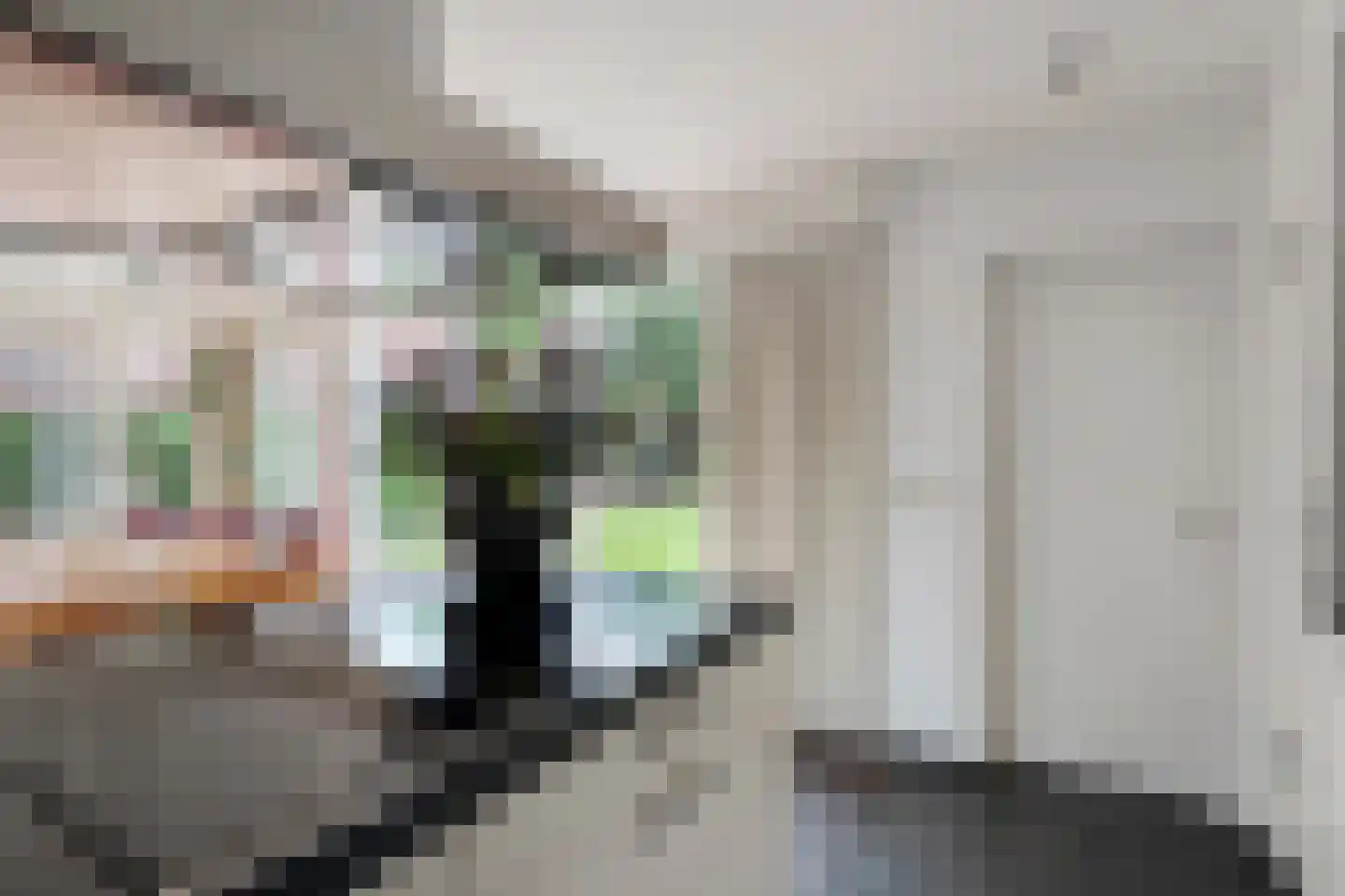 Melisse 5 Raalte thumbnail 28