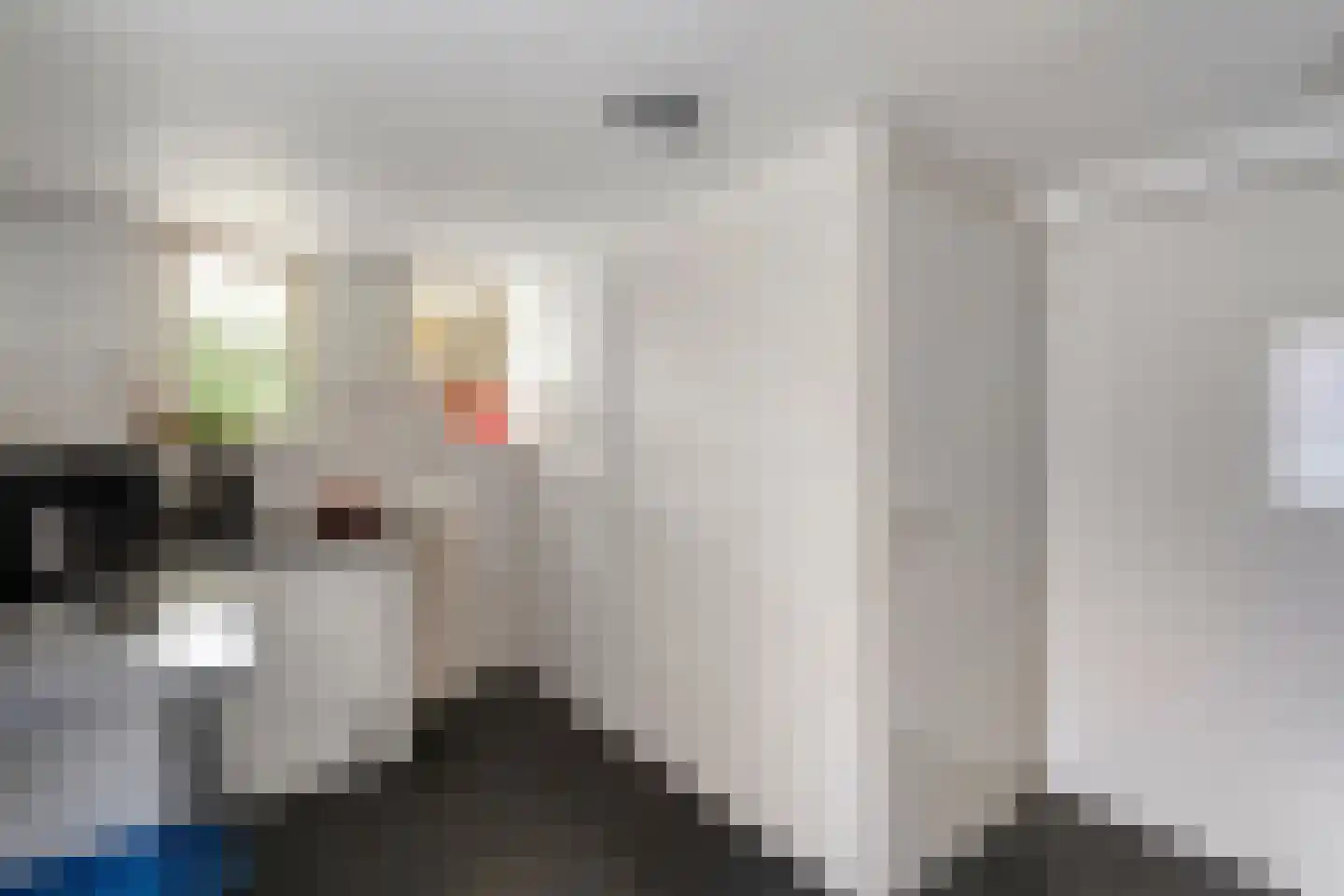 Melisse 5 Raalte thumbnail 29