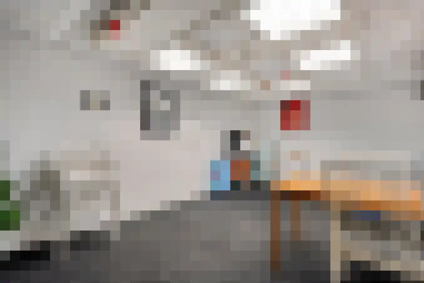 Melisse 5 Raalte thumbnail 38
