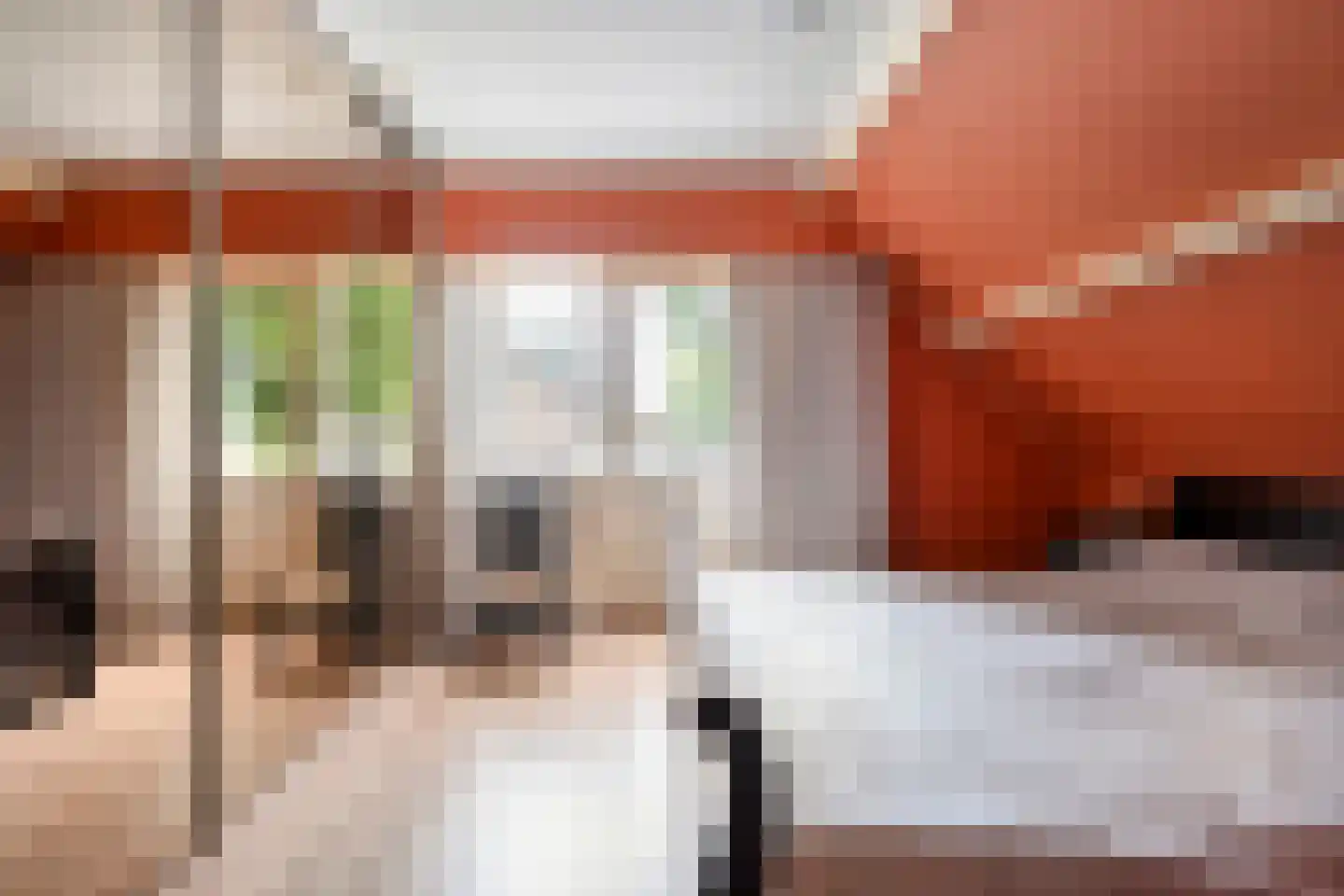 Melisse 5 Raalte thumbnail 41
