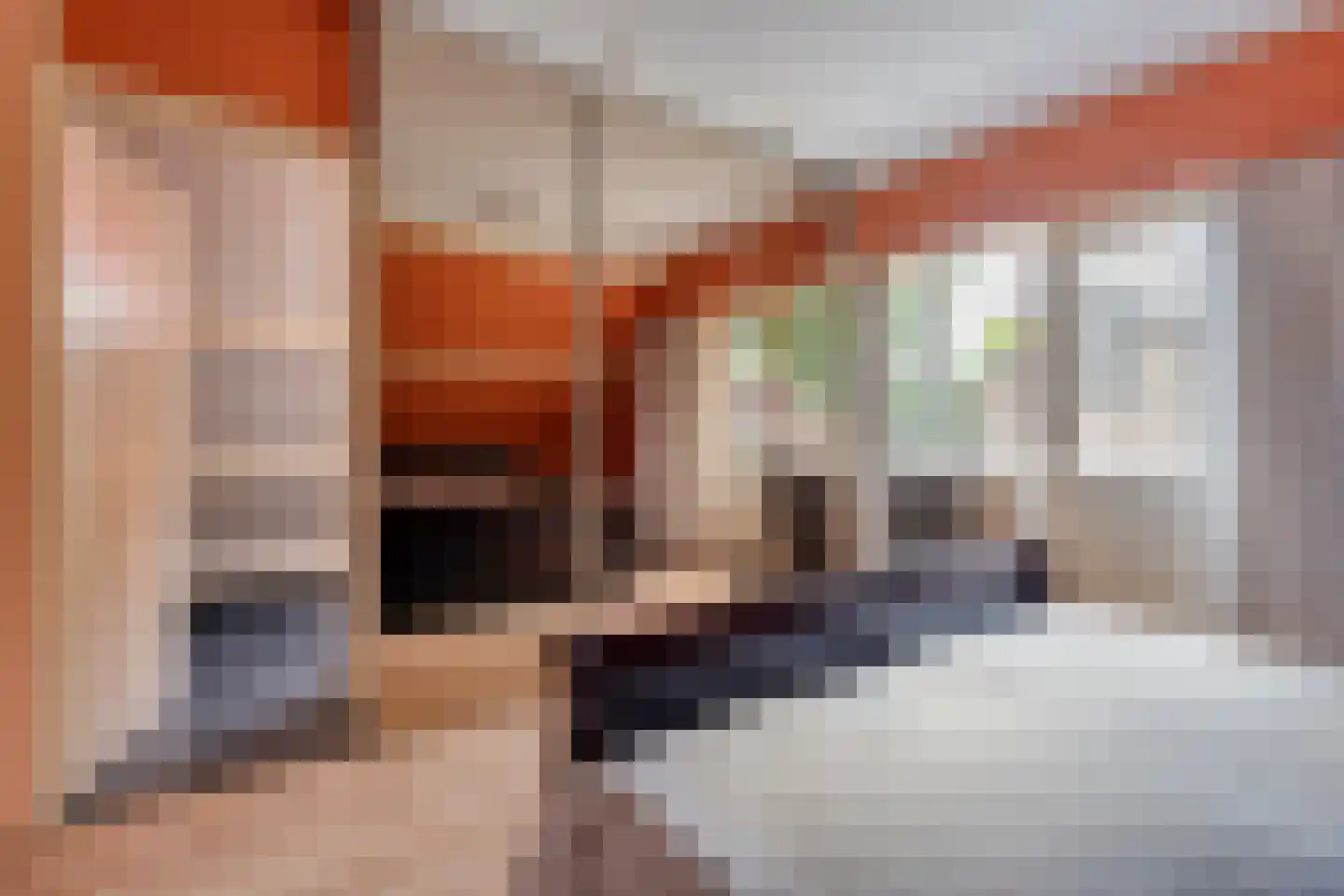 Melisse 5 Raalte thumbnail 42