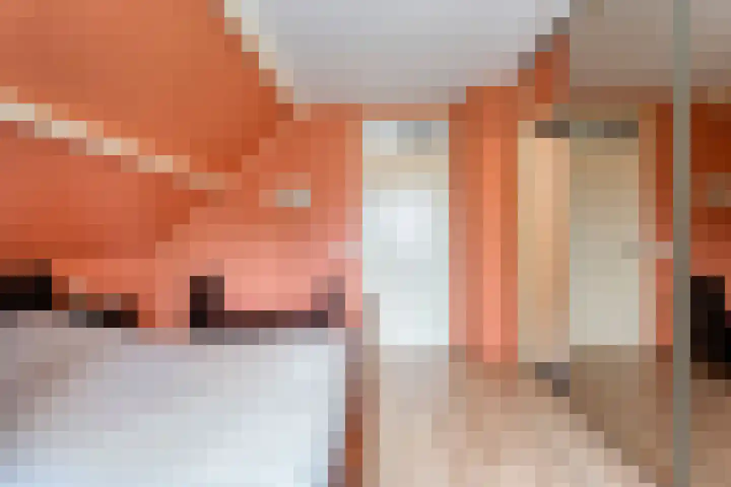 Melisse 5 Raalte thumbnail 43