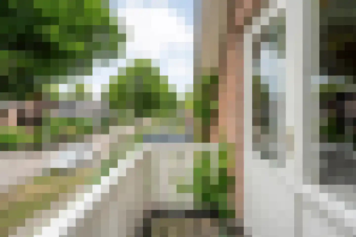 Melisse 5 Raalte thumbnail 47